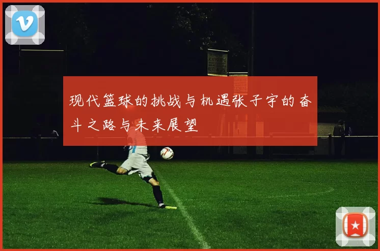 现代篮球的挑战与机遇张子宇的奋斗之路与未来展望